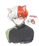 Shoto gato 