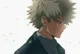 Katsuki bakugou 
