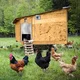Chicken coop