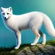 Dang the Arctic Fox