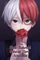 Shoto Todoroki -VAMP