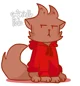 Kitten Tord
