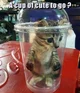 Cat in a cup V2