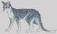 jayfeather