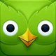 duolingo 2012