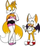 Tails and Rouge Swap