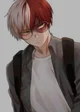 Shoto Todoroki 