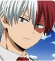 Shoto Todoroki 