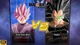Raditz Goku Black RP