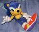Sunyc the hedgehog 