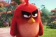 ANGRY BIRD