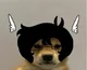 Saikoou