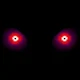 XIPHOS