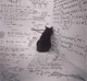 Math Cat