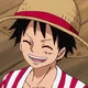 Suami luffy