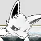 Naffo the squid dog