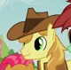Braeburn 
