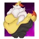 Braixen obesa 
