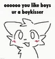Boykisser Cat
