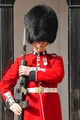 A UK Royal Guard