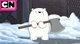 Baby Ice Bear