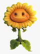 Sunflower GW2