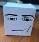 Roblox Cube
