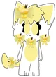 Lemon Cream cat