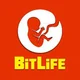 Bitlife Simulator
