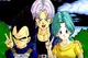 Vegeta Family RPG