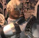 -XIV- Arenvald