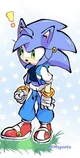 Sonica The Hedgehog