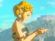 Zelda TOTK WZ