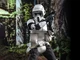 Scout Trooper male