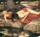Narcissist