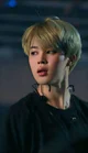 Park Jimin 