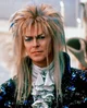 Jareth Goblin King 