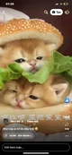 Cats Burger