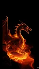 Fire Dragon