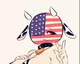 America Cow Girl