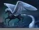 Black Pegasus