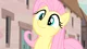Fluttershy