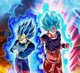 ToP Goku and Vegeta