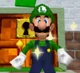 SM64DS Luigi