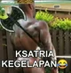 Ksatria Kegelapan