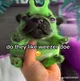 Alien puppy