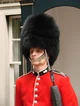 A random guardsman