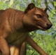 Fossa