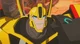 Bumblebee RID
