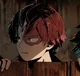 Shoto Todoroki
